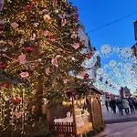 Bed & Breakfast La Maison Des Cigognes