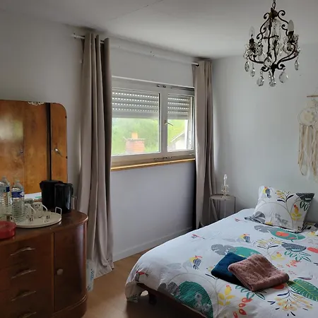 La Maison Des Cigognes فندق مبيت وإفطار Hesingue