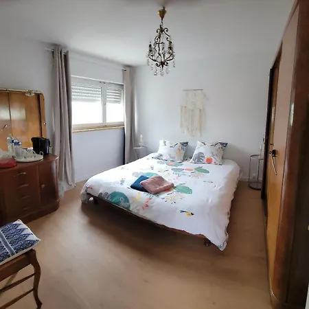 La Maison Des Cigognes * Hesingue