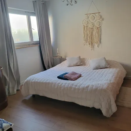 Bed & Breakfast La Maison Des Cigognes Hesingue