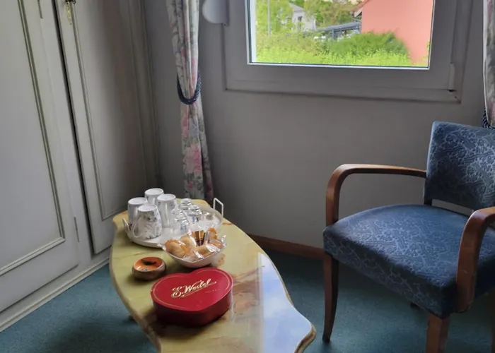 La Maison Des Cigognes * Hesingue