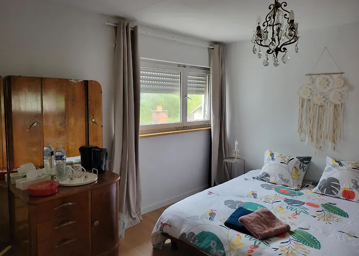 La Maison Des Cigognes Bed and breakfast Hesingue