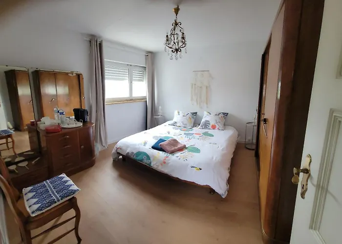 La Maison Des Cigognes * Hesingue